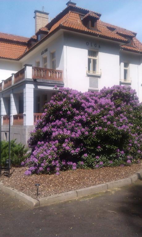 Vila Olga Jevany Exterior foto
